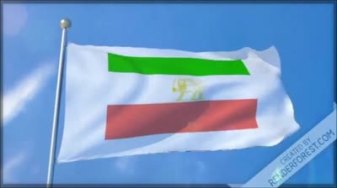 pusheshe-vizhe_std.original